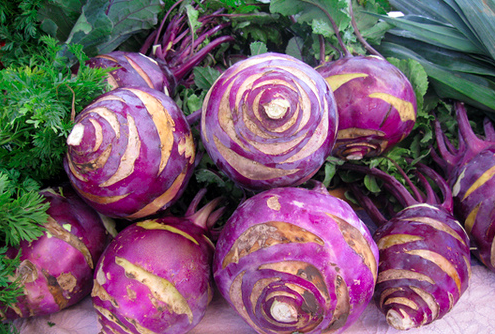 purple kolrabi